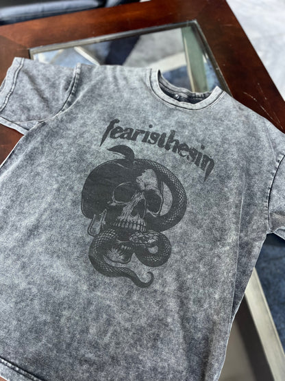 OVERSIZED SNOW-WASHED "APPLE SKULL" TEE (GREY)